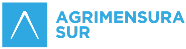 Agrimensura Sur